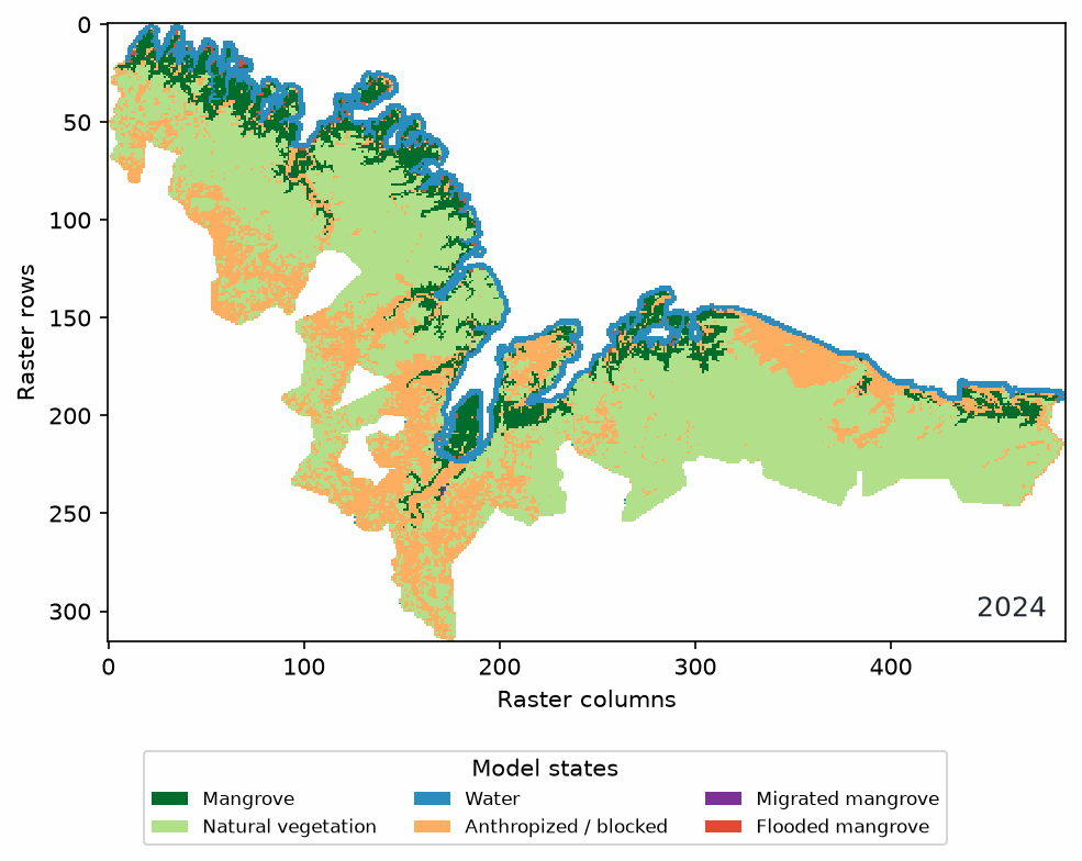Animated example of annual mangrove state changes
